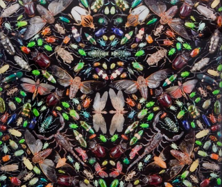 Wonders of the Universe: 10 Captivating Artworks Inspired by Flora and Fauna