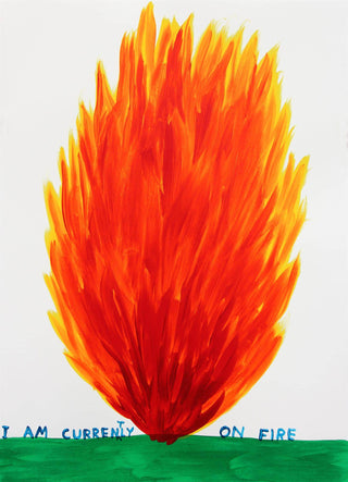 David Shrigley and the Art of Humour