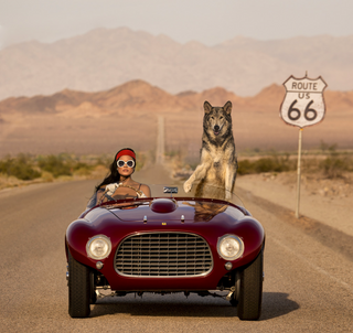 David Yarrow 'The Collection': A Milestone Exhibition at Maddox Gallery