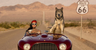 David Yarrow 'The Collection': A Milestone Exhibition at Maddox Gallery