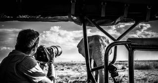 Is David Yarrow's Photography a Good Investment? 5 Reasons Why Art Investors Love the Renowned Photographer’s Work