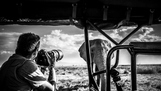 Is David Yarrow's Photography a Good Investment? 5 Reasons Why Art Investors Love the Renowned Photographer’s Work