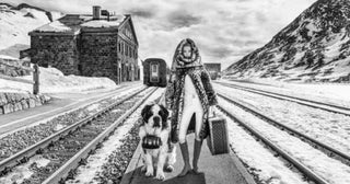 The Ultimate Storyteller: New Releases from David Yarrow