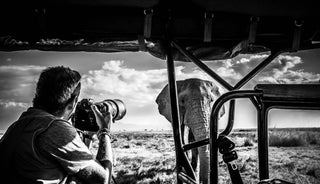 David Yarrow Photography for Sale