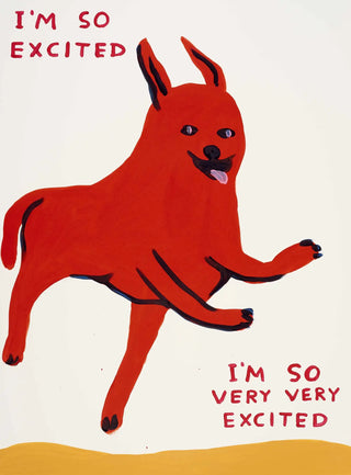 David Shrigley Prints and Artworks for Sale