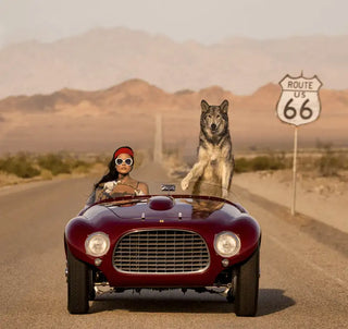 David Yarrow - On the Road