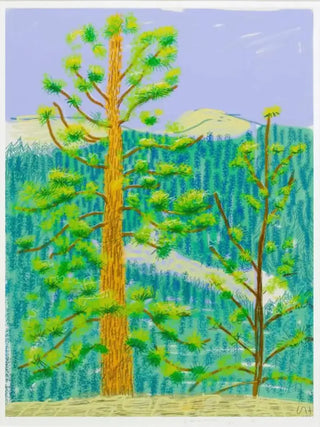 David Hockney - Landscapes