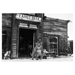 The Landlord