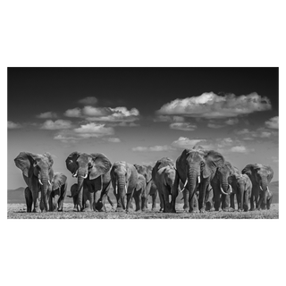 Elephant Uprising