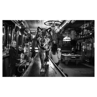 The Wolf of Main St II