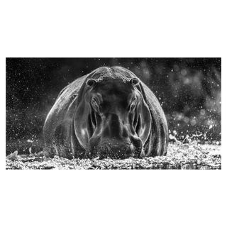David Yarrow, Dexter, 2018 contemporary Print by the British Artist.