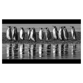 Oceans Eleven