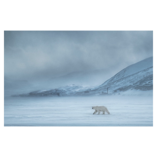 North of the Wall
