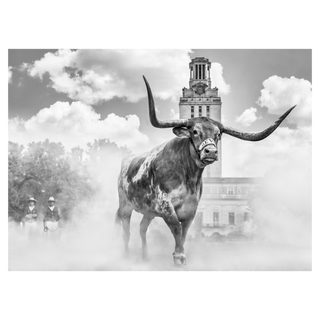 David Yarrow, Hook 'em Horns, 2024 contemporary Print by the British Artist.
