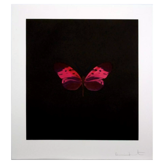 Pink Butterfly (Memento) by Damien Hirst, 2008 – Prints artwork