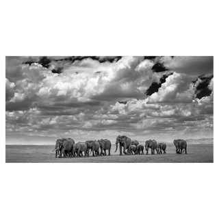 The Waterboys by David Yarrow, 2015 – Photography artwork