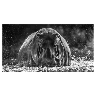 Dexter by David Yarrow, 2018 – Photography artwork