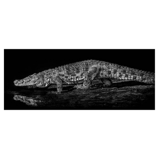 10,000 BC by David Yarrow, 2019 – Photography artwork
