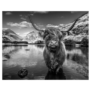 Glen Etive by David Yarrow, 2019 – Photography artwork