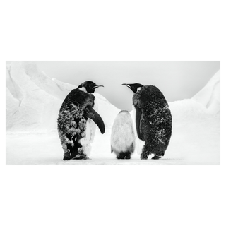 Who's gonna tell him? by David Yarrow, 2022 – Photography artwork