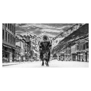 The Bison on Main by David Yarrow, 2023 – Photography artwork