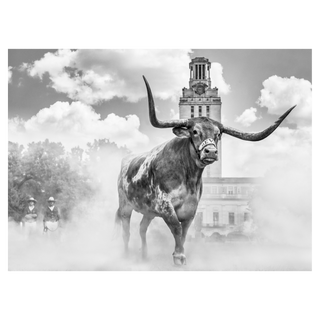 Hook 'em Horns by David Yarrow, 2024 – Photography artwork