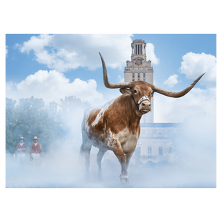 Hook 'em Horns (Colour) by David Yarrow, 2024 – Photography artwork