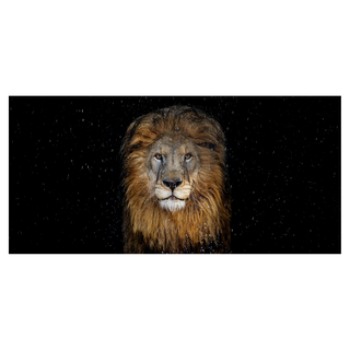 The Lion (Colour) by David Yarrow, 2025 – Photography artwork