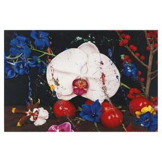 Under the Volcano, Snezhniy by Marc Quinn, 2008 – Painting artwork