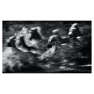 White Rush by David Yarrow, 2013 – Photography artwork