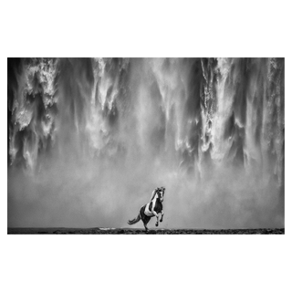 Legends of The Fall by David Yarrow, 2020 – Photography artwork