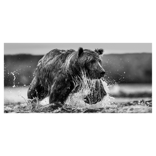 The Salmon Run by David Yarrow, 2025 – Photography artwork