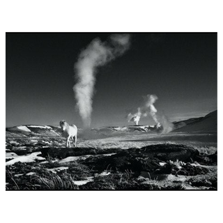 Lord of the Rings by David Yarrow, 2018 – Photography artwork