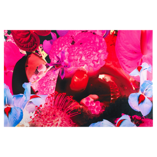 At the Far Edges of the Universe #8 by Marc Quinn, 2010 – Prints artwork