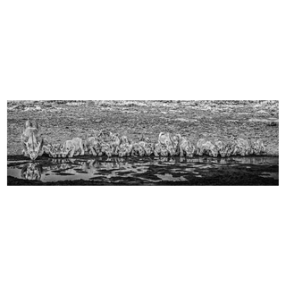 One for the Road by David Yarrow, 2020 – Photography artwork
