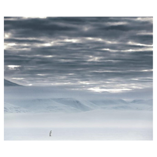 The North Remembers by David Yarrow, 2019 – Photography artwork