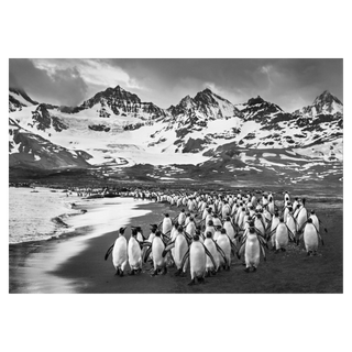 The Breakfast Club by David Yarrow, 2018 – Photography artwork