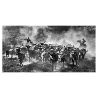 Cattle Drive by David Yarrow, 2024 – Photography artwork