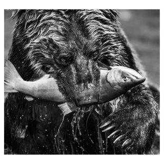 Primeval by David Yarrow, 2017 – Photography artwork