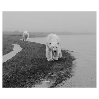 Ghost Writers by David Yarrow, 2015 – Photography artwork