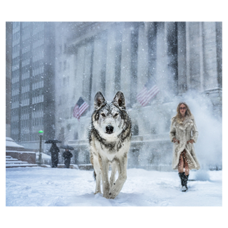 Wall Street Stories (Colour) by David Yarrow, 2026 – Photography artwork