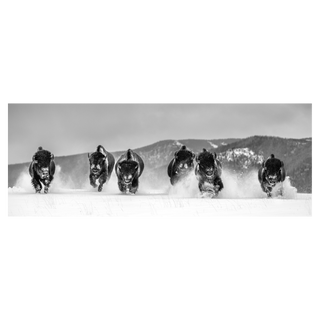 The Bills by David Yarrow, 2021 – Photography artwork