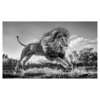 Succession by David Yarrow, 2022 – Photography artwork