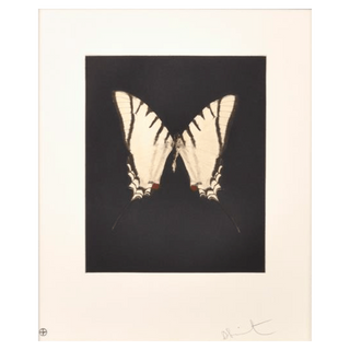 Spirit by Damien Hirst, 2009 – Prints artwork
