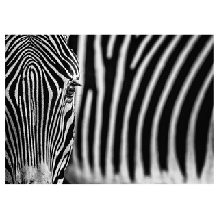 White Lines by David Yarrow, 2020 – Photography artwork