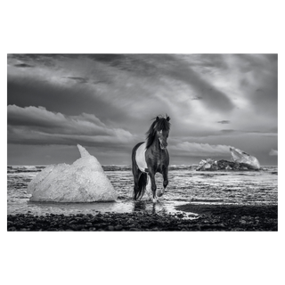 On The Rocks by David Yarrow, 2020 – Photography artwork