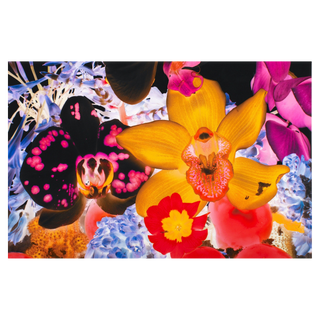 At the Far Edges of the Universe #5 by Marc Quinn, 2010 – Prints artwork