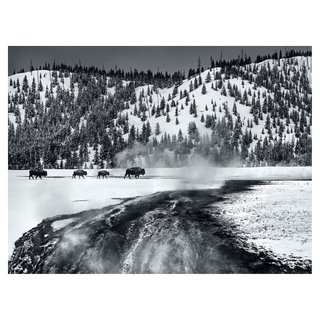 Yellowstone by David Yarrow, 2017 – Photography artwork