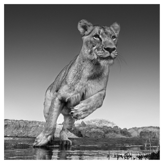 Emma by David Yarrow, 2017 – Photography artwork