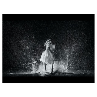 The Shape of Water by David Yarrow, 2020 – Photography artwork